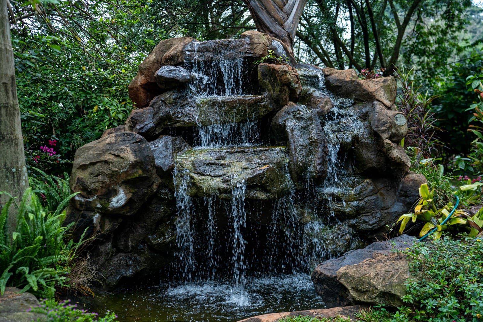 Fairview Coffee Tour